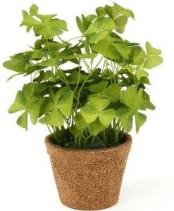 Merkloos Kunstplant klaver groen in pot 25 cm Kamerplant groene klaverzuring Kunstplanten