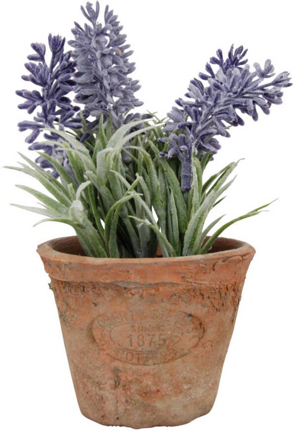 True to Nature Kunstplant lavendel in terracotta pot 15 cm Kunstplanten