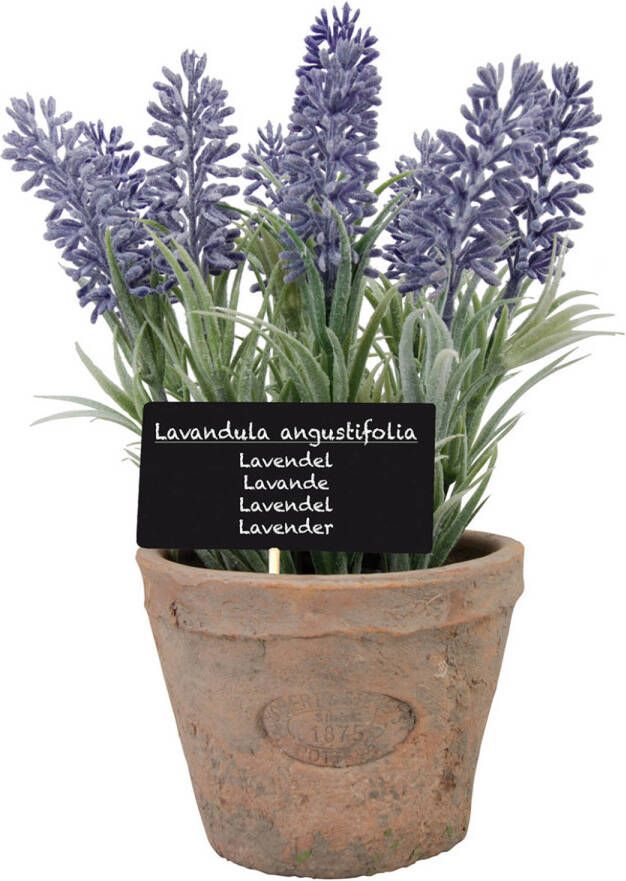 Shoppartners Kunstplant lavendel in terracotta pot 23 cm Kunstplanten nepplanten