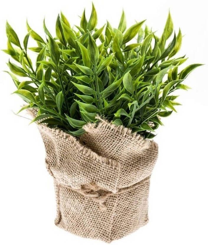Shoppartners Kunstplant muizendoorn kruiden groen in jute pot 20 cm Kunstplanten