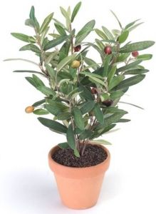 Merkloos Kunstplant olijf boomje groen in pot 35 cm- Kamerplant groen olijfboom Kunstplanten