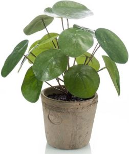 Shoppartners Kunstplant pannenkoeken plant groen in pot 25 cm Kamerplant groen pilea