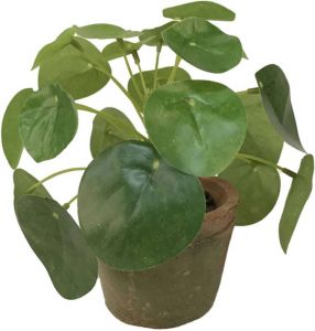 Merkloos Kunstplant pannenkoeken plant groen in pot 13 cm Kamerplant groen pilea Kunstplanten