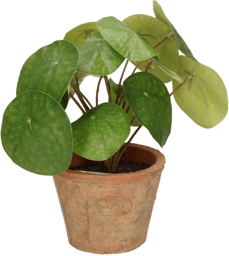 Shoppartners Kunstplant pilea Pannekoekplant groen in pot 25 cm Kunstplanten