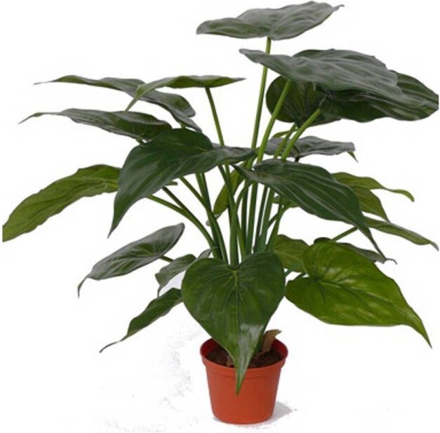 Shoppartners Kunstplanten alocasia olifantsoor groen 51 cm Kunstplanten