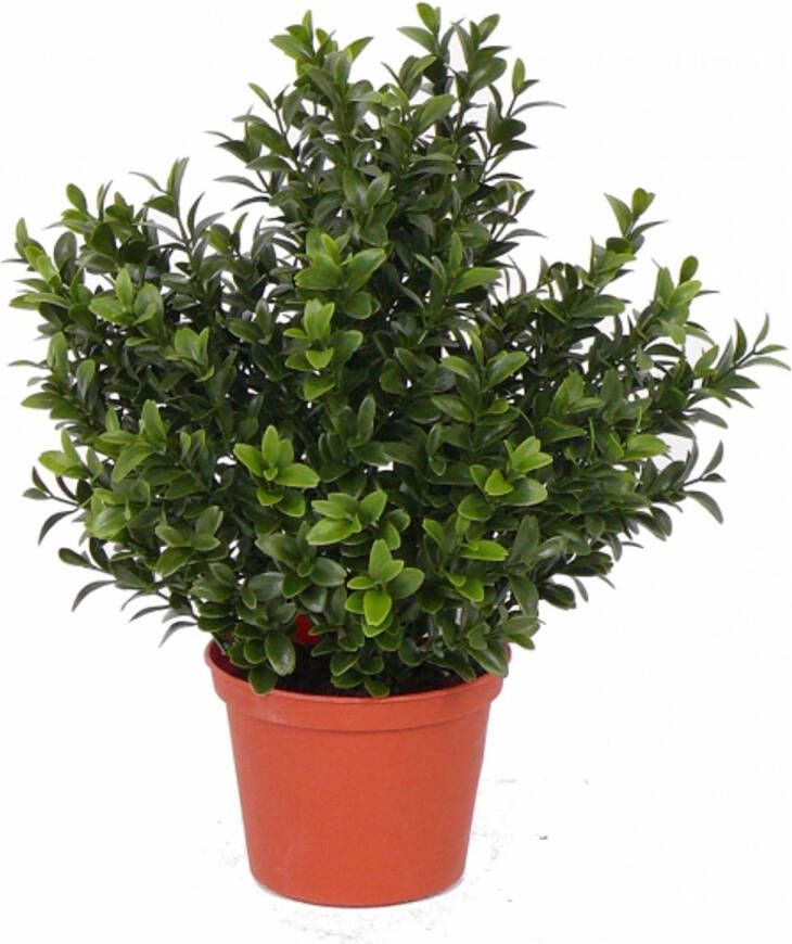Merkloos Groene Buxus kunstplanten in pot 31 cm Kantoor huiskamer nep namaak planten Kunstplanten