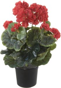 Louis maes Rode geranium kunstplant in zwarte kunststof pot 35 cm Pelargonium Graveolens Woondecoratie Kunstplanten