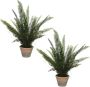 Merkloos Set van 2x stuks groene Varen kunstplanten 60 cm in zwarte pot Kunstplanten nepplanten Varens planten plantjes Kunstplanten - Thumbnail 1