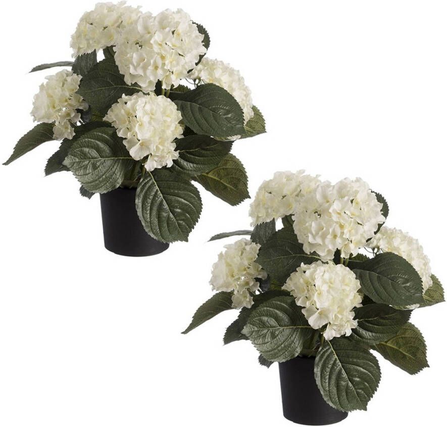 Louis Maes Set van 2x stuks witte hortensia Hydrangea kunstplanten in zwarte kunststof pot 44 cm Kunstplanten