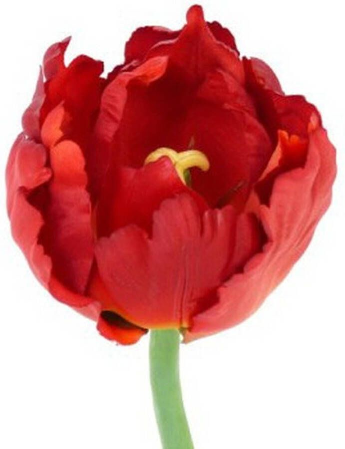 Merkloos Tulp rood deluxe 25 cm Kunstbloem Kunstbloemen