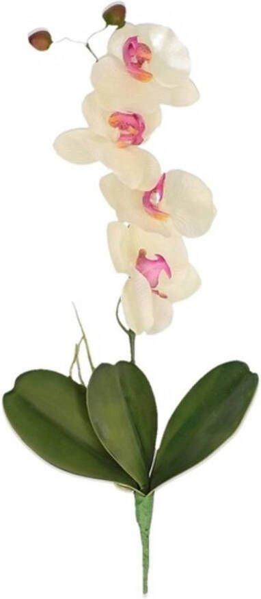 Merkloos Roze wit Orchidee Phalaenopsis kunstplant takken 44 cm voor binnen kunstplanten nepplanten binnenplanten Kunstbloemen