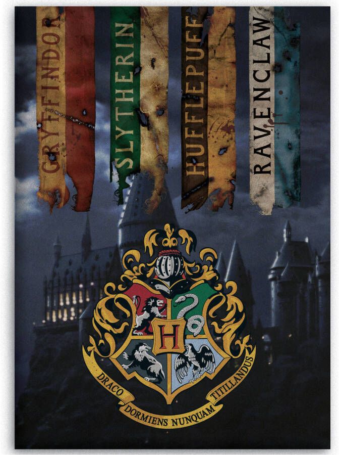 SimbaShop Harry Potter Fleece deken Zweinstein 100 x 140 cm Multi