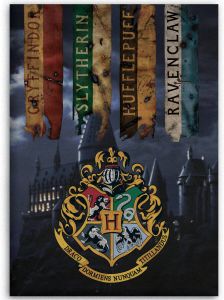 SimbaShop Harry Potter Fleece deken Zweinstein 100 x 140 cm Multi