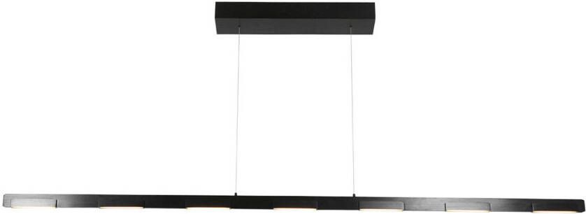 Steinhauer Bloc hanglamp Ingebouwd (LED) transparant en zwart