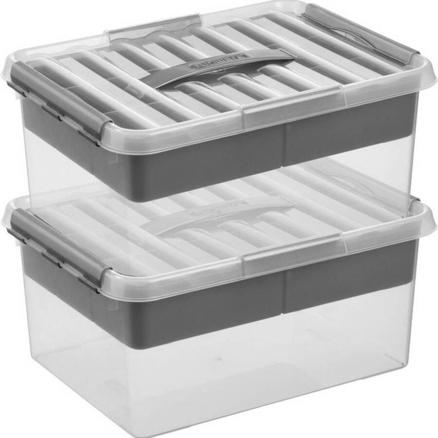 Sunware 2x Q-Line opberg boxen opbergdozen met vakverdeling vakken tray 15 liter 40 x 30 x 18 cm kunststof Gereedschapskist Opslagbox Opbergbak kunststof transparant zilver Opbergbox