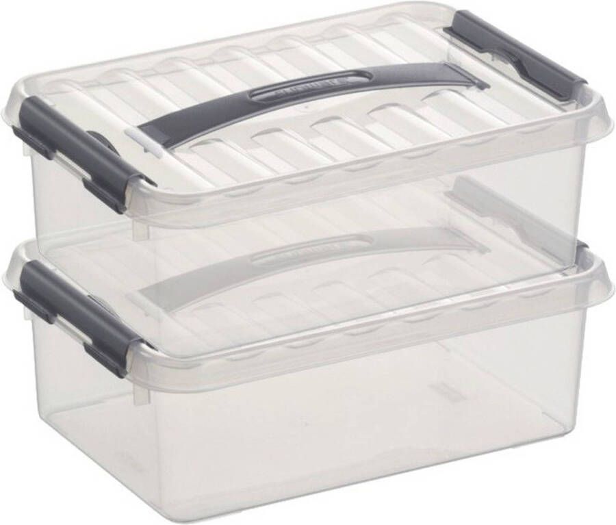 Sunware 2x Q-Line opberg boxen opbergdozen 4 liter 30 cm kunststof Opslagbox Opbergbak kunststof transparant zilver Opbergbox