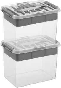 Sunware 2x Q-Line opberg boxen opbergdozen met vakverdeling vakken tray 9 liter 30 x 20 x 22 cm kunststof Gereedschapskist Opslagbox Opbergbak kunststof transparant zilver Opbergbox