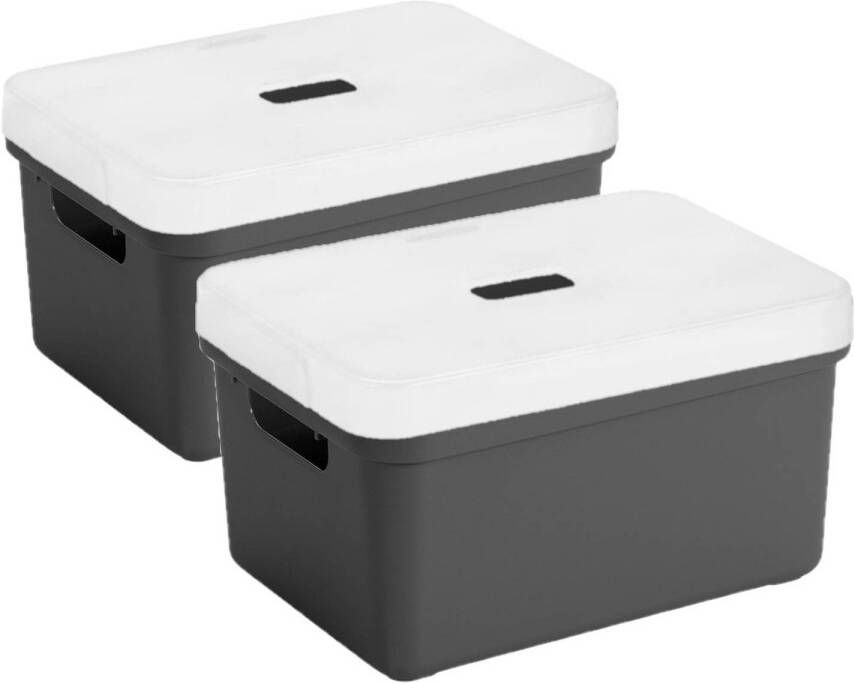 Sunware 2x stuks opbergboxen opbergmanden antraciet van 5 liter kunststof met transparante deksel 25 x 18 x 12 cm Opbergbox