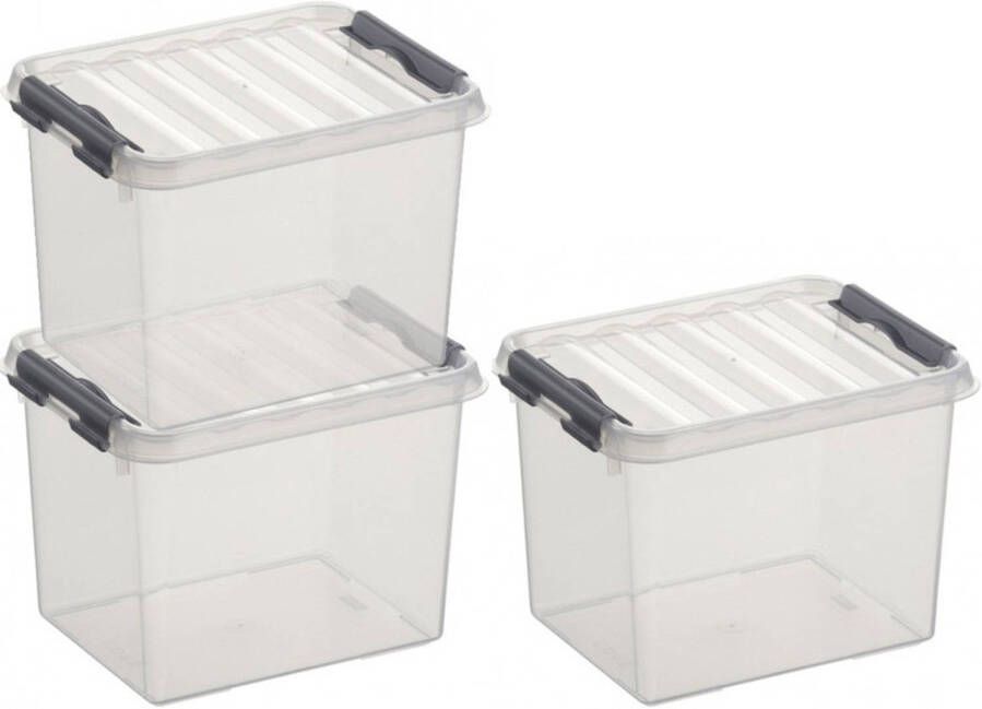 Sunware 3x Q-Line opberg boxen opbergdozen 3 liter 20 cm kunststof Opslagbox Opbergbak kunststof transparant zilver Opbergbox