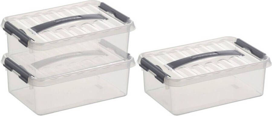 Sunware 3x Q-Line opberg boxen opbergdozen 4 liter 30 cm kunststof Opslagbox Opbergbak kunststof transparant zilver Opbergbox