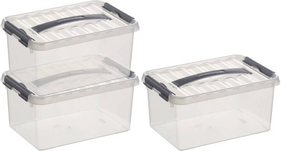 Sunware 3x Q-Line opberg boxen opbergdozen 6 liter 30 cm kunststof- Opslagbox Opbergbak kunststof transparant zilver Opbergbox