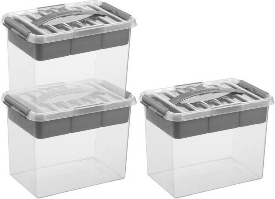 Sunware 3x Q-Line opberg boxen opbergdozen met vakverdeling vakken tray 9 liter 30 x 20 x 22 cm kunststof Gereedschapskist Opslagbox Opbergbak kunststof transparant zilver Opbergbox