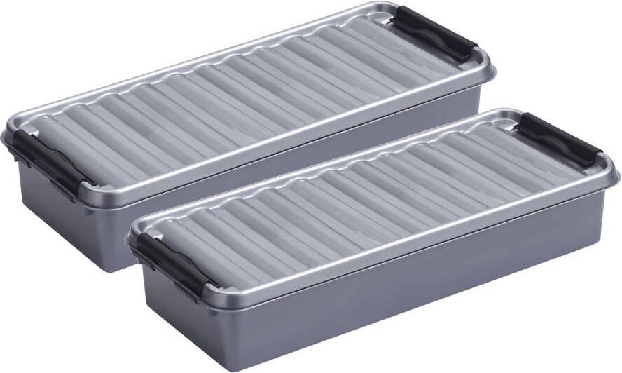 Sunware Opberg boxen set 2x stuks 3.5 en 2.5 liter kunststof grijs met deksel Opbergbox