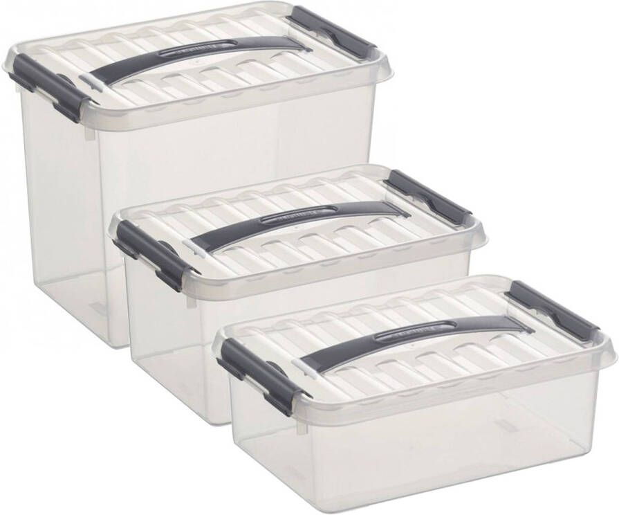 Sunware Opberg boxen set van 3x stuks in 4-6-9 Liter kunststof met deksel Opbergbox