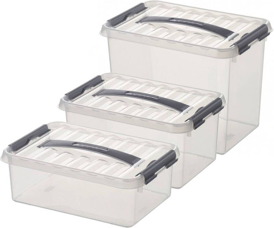 Sunware Opberg boxen set van 6x stuks in 4-6-9 Liter kunststof met deksel Opbergbox
