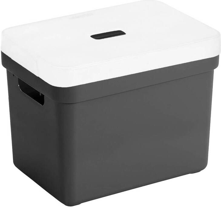 Sunware Opbergboxen opbergmanden zwart van 18 liter kunststof met transparante deksel 35 x 25 x 24 cm Opbergbox