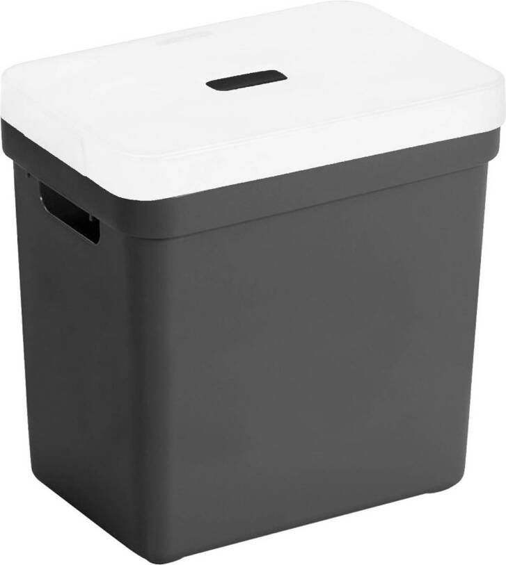 Sunware Opbergboxen opbergmanden zwart van 25 liter kunststof met transparante deksel Opbergbox