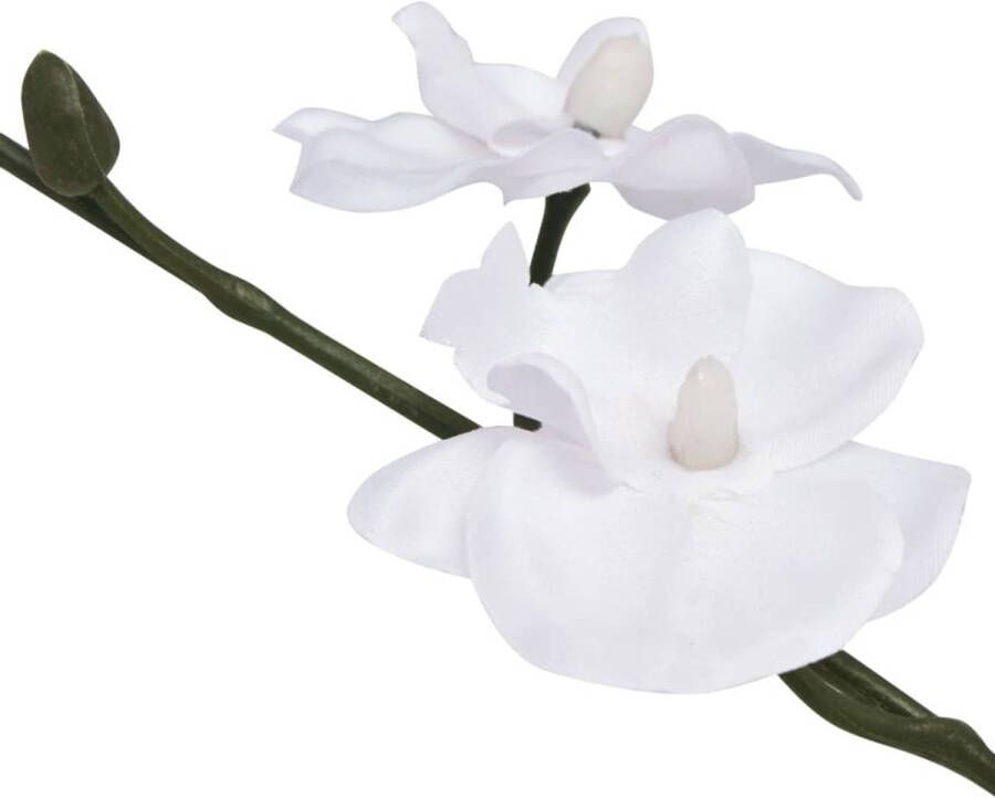The Living Store Kunst Orchidee 30 cm Realistische uitstraling Hoogwaardige materialen Inclusief pot Witte