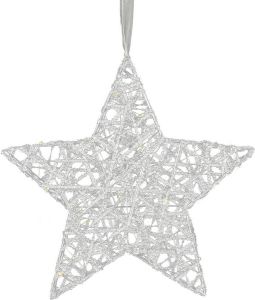 TOM kerstster Leonie B led 5 x 30 x 30 cm staal zilver