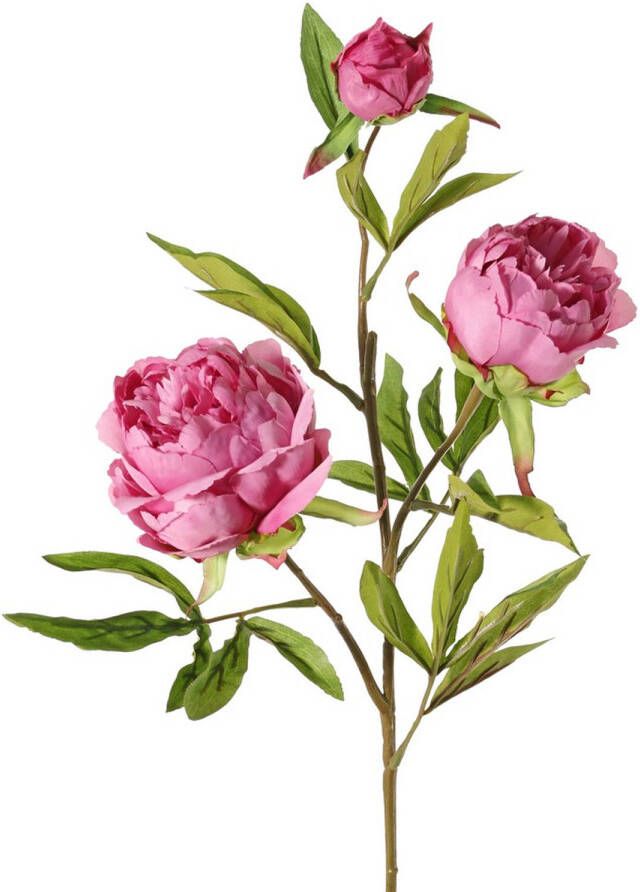 Top Art Topart Kunstbloem pioenroos Spring Dream -A  roze 73 cm kunststof Kunstbloemen