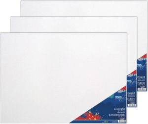 Toppoint 3x Schildersdoeken 50 x 70 cm voor hobby verf schilderen Schildersdoeken