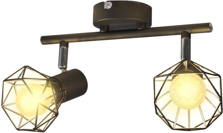 VidaXL Plafondlamp met 2 LED&apos;s industriële stijl zwart