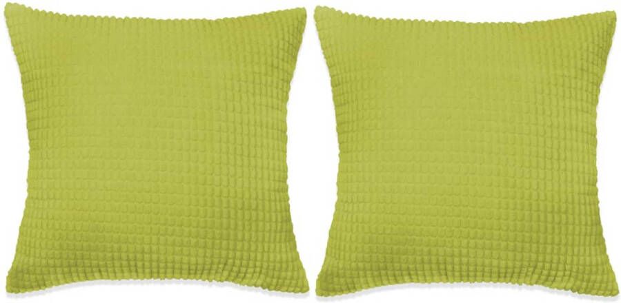 VidaXL Sierkussenset 60x60 cm velours groen 2-delig