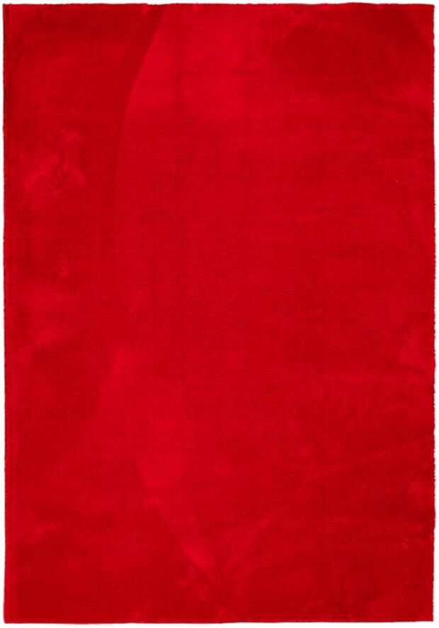 VidaXL Vloerkleed laagpolig zacht en wasbaar 120x170 cm rood