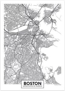 VSE Canvas city map Boston 30X40cm