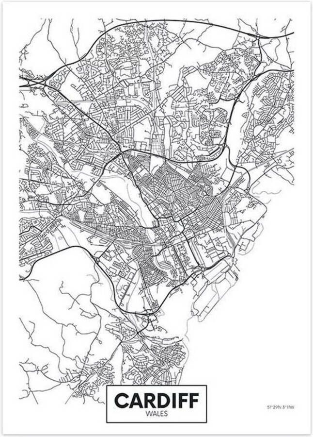 VSE Canvas city map Cardiff 30X40cm