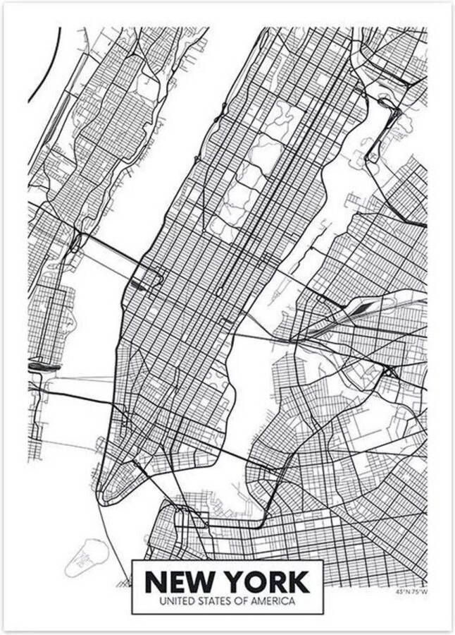 VSE Canvas city map New York 30X40cm