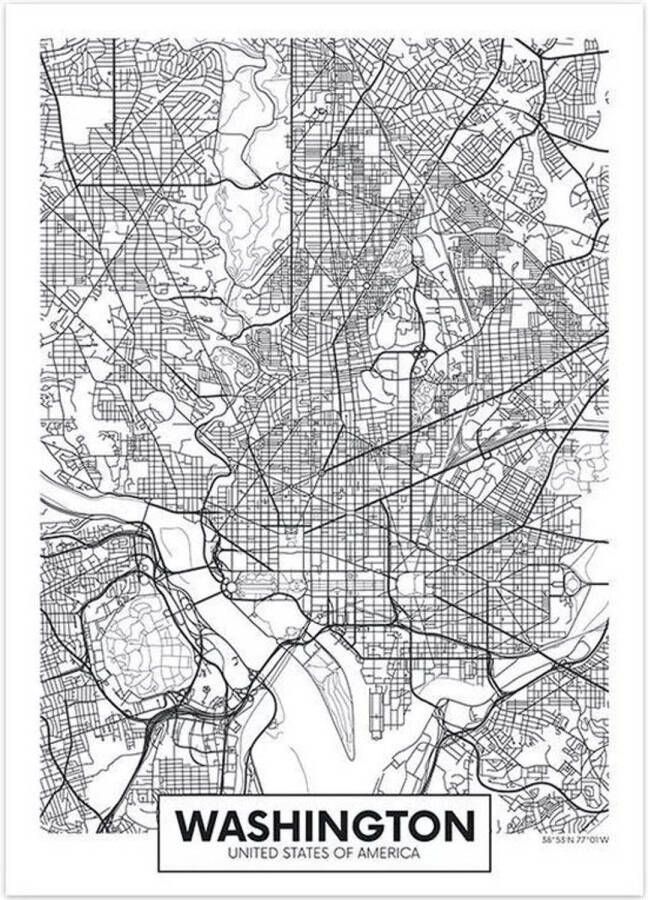 VSE Canvas city map Washington 30X40cm