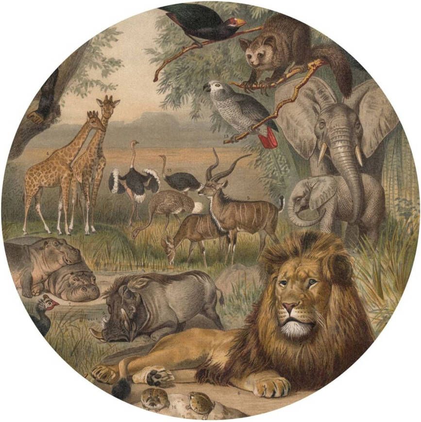 WallArt Behangcirkel Animals of Africa 190 cm
