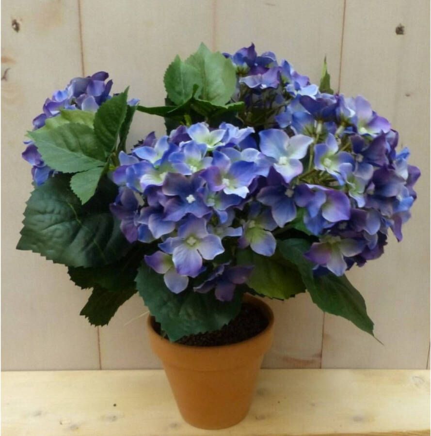 Warentuin Mix Kunsthortensia blauw in pot 35 cm