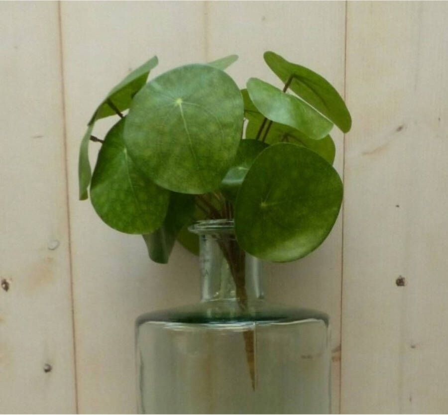Warentuin Mix Kunstpannenkoekplant op steker 25 cm