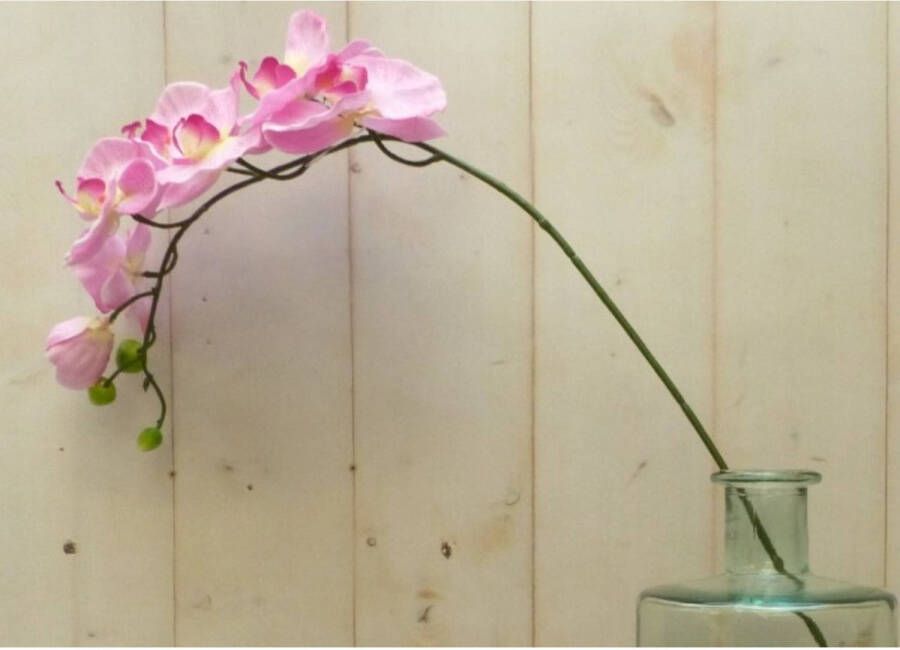 Warentuin Mix Kunstvlinderorchidee groot op steker roze