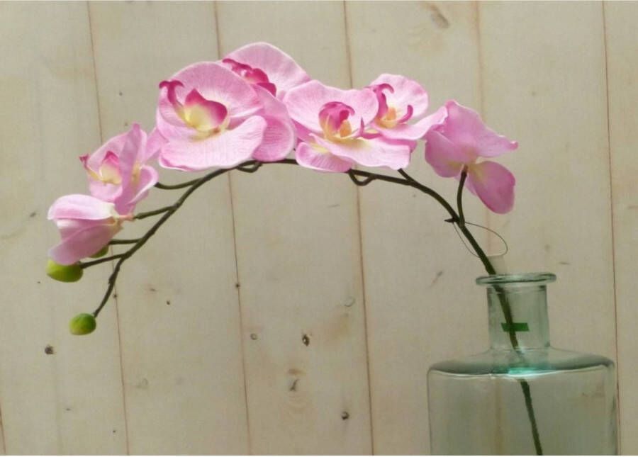 Warentuin Mix Kunstvlinderorchidee op steker roze