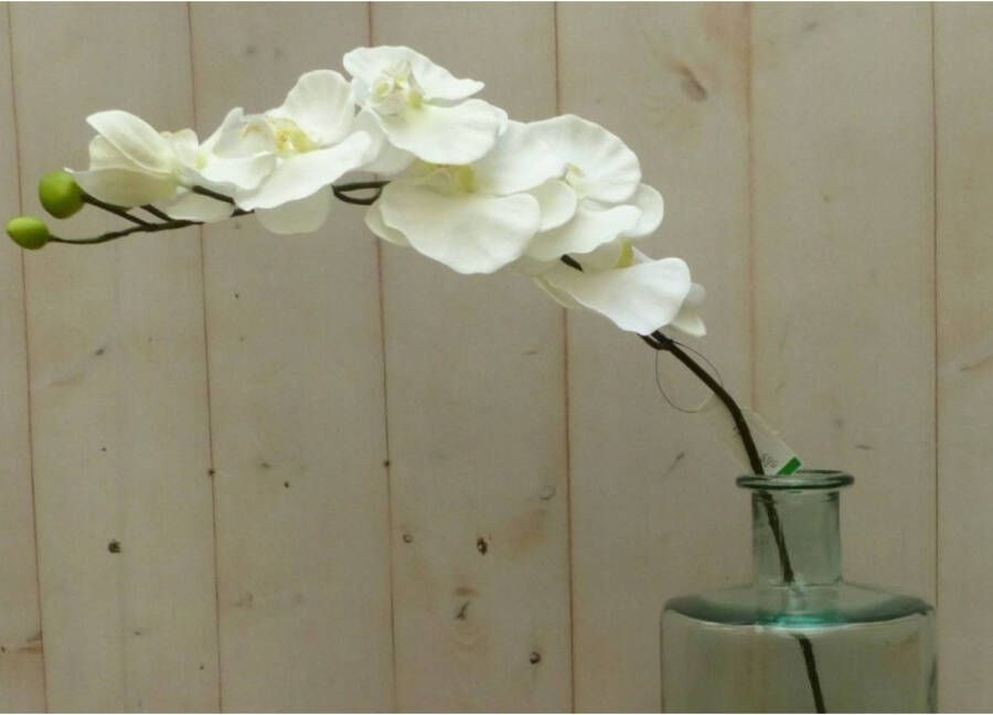Warentuin Mix Kunstvlinderorchidee op steker wit