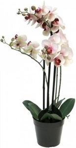 Warentuin Phalaenopsis Orchidee In Pot 60 cm roze kunstplant Nova Nature
