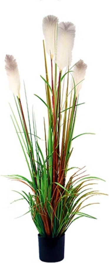 Warentuin Riet gras in pot 150 cm wit-groen-bruin kunstplant Buitengewoon de Boet
